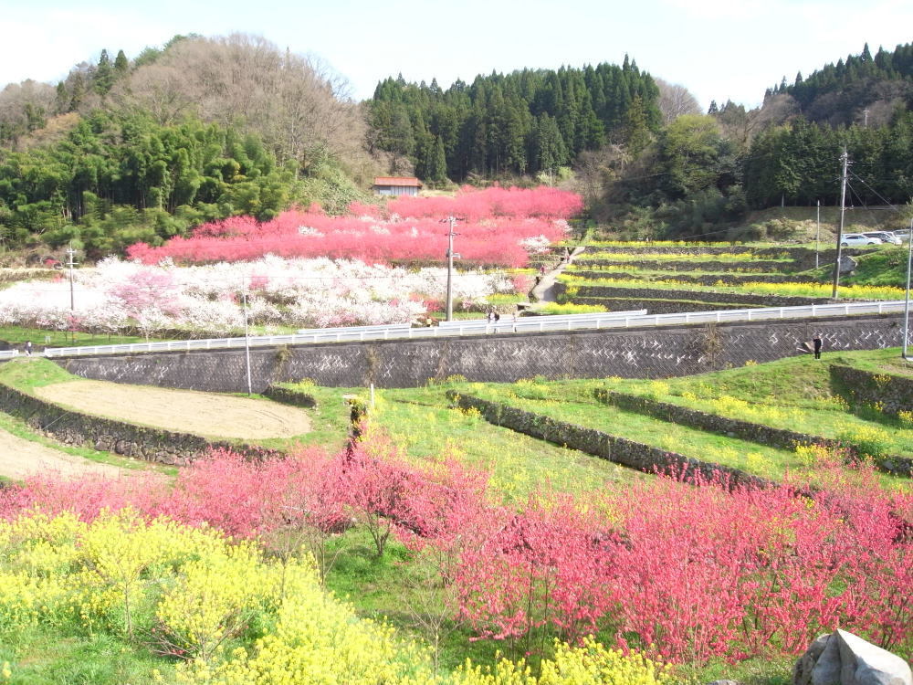 行ってきたよ!天国に一番近い里_b0096638_14092489.jpg
