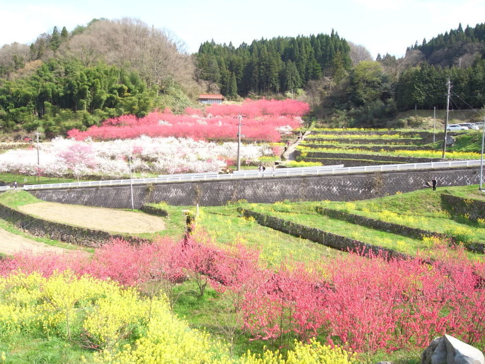 行ってきたよ！天国に一番近い里_b0096638_14092489.jpg