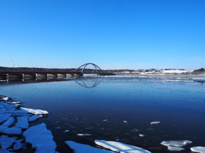 2017.01.01 ジムニー北海道の旅⑮元旦の朝もやきとり弁当_a0225740_22140547.jpg