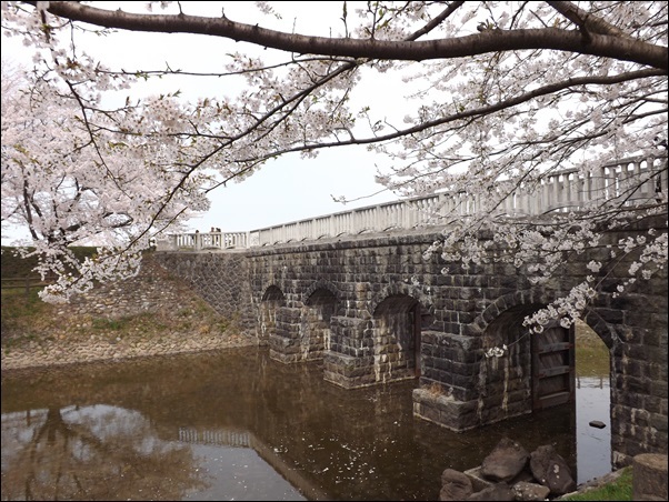 水門と桜_f0333346_11111256.jpg