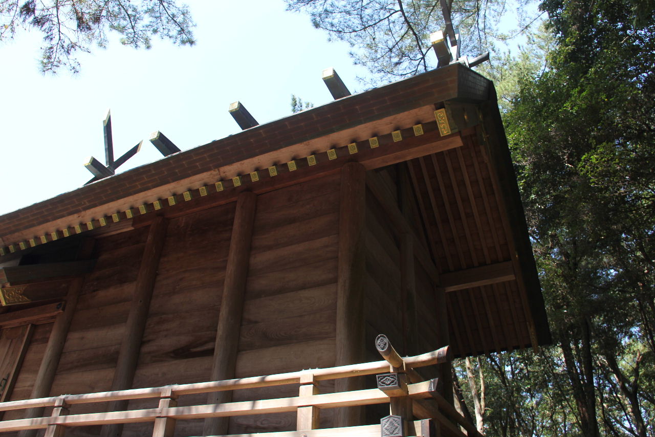 c0011649_9893.jpg