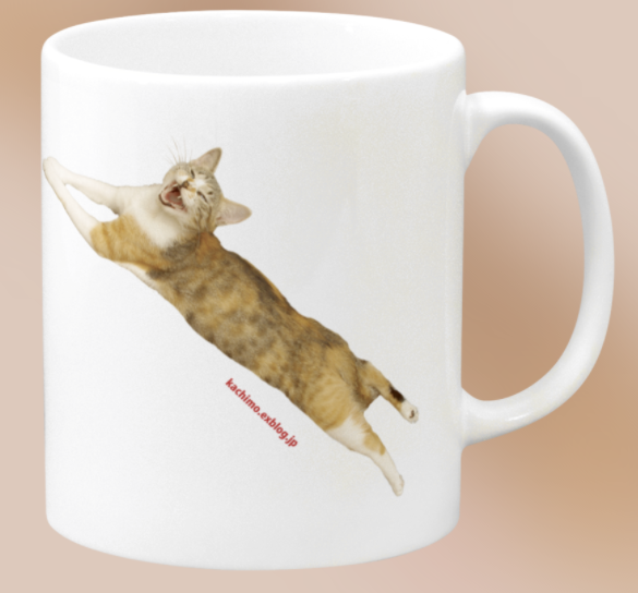 注文してみた。【追加しました】_a0028451_02094413.png