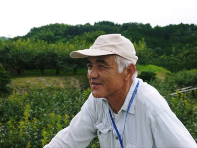 熊本梨　岩永農園　最後に収穫する新高の花が咲き誇っていました_a0254656_18464344.jpg