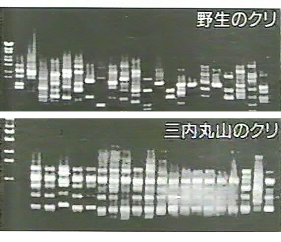 でないと、人類は危うい。_d0003756_06442544.jpg