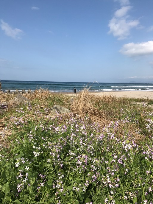 春の海は気持ちいい_f0009169_08480760.jpg
