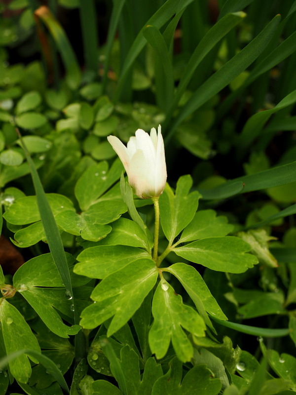 f0372177_21525767.jpg