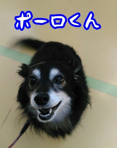 お座り上手にできた!!_f0357682_16074134.jpg