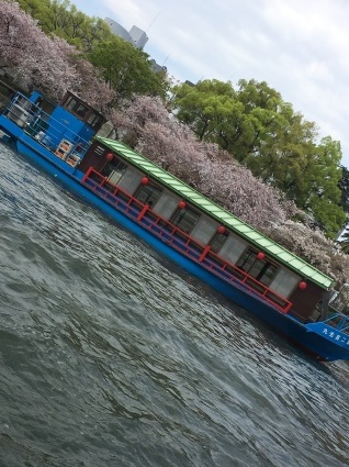 桜in大阪❤︎❤︎_f0319183_18163262.jpg