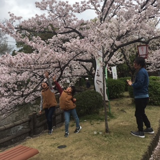 お花見、、、。_d0178587_14341256.jpg
