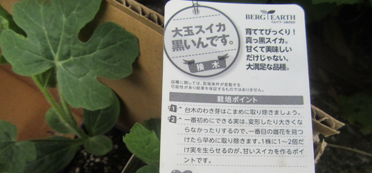 f0231709_17594231.png