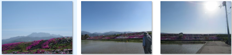 f0231709_8503750.png