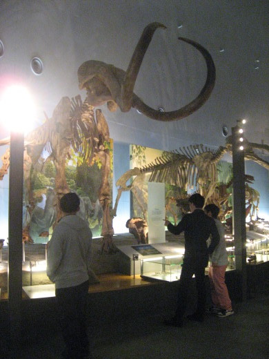 c0062511_21323464.jpg