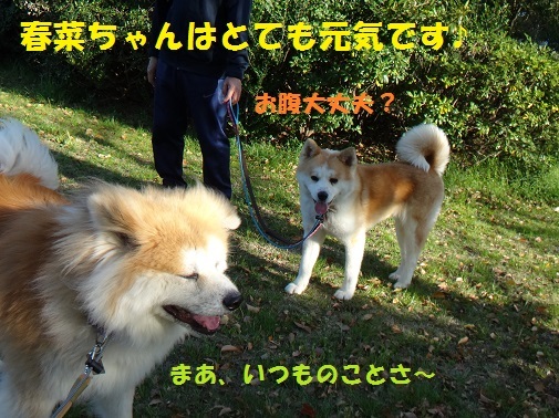 f0121712_09055966.jpg