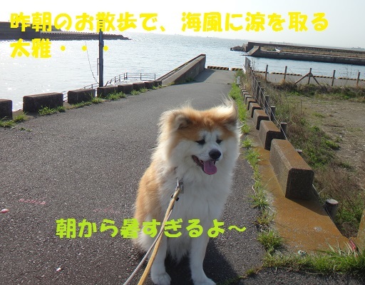 f0121712_09114905.jpg
