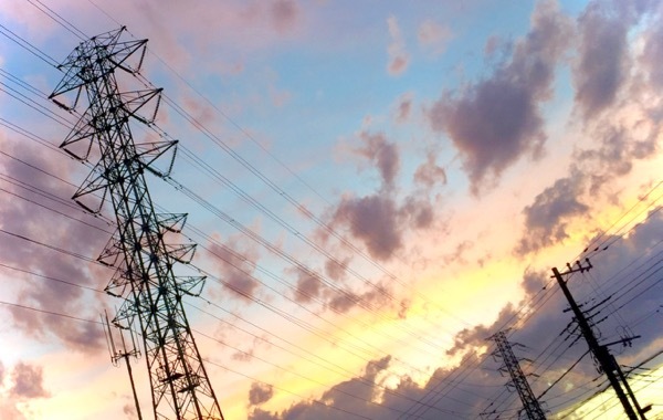 夕暮れの緑の光 世話要らずの庭