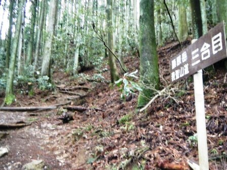 藤原岳　登山　鈴鹿　17.4.18（火）_e0333313_18245023.jpg