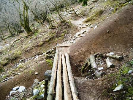 藤原岳　登山　鈴鹿　17.4.18（火）_e0333313_18332941.jpg