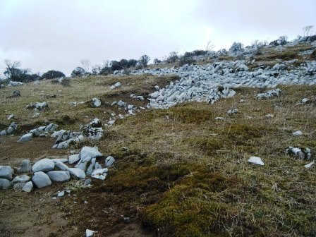 藤原岳　登山　鈴鹿　17.4.18（火）_e0333313_18441810.jpg