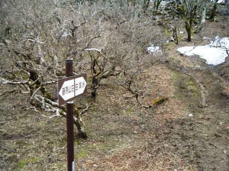 藤原岳　登山　鈴鹿　17.4.18（火）_e0333313_18460910.jpg