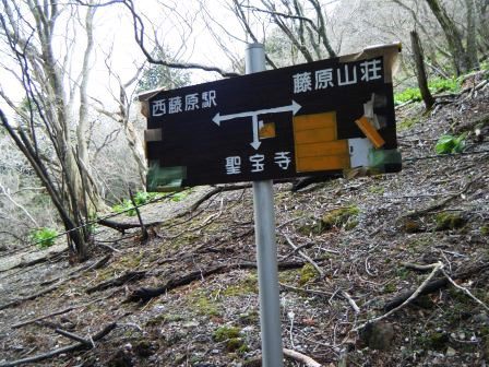 藤原岳　登山　鈴鹿　17.4.18（火）_e0333313_18560087.jpg