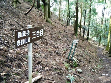 藤原岳　登山　鈴鹿　17.4.18（火）_e0333313_18584041.jpg