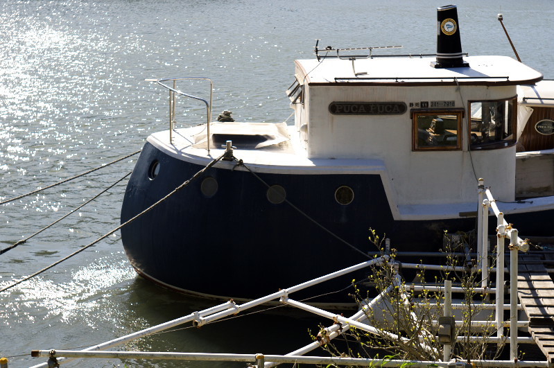 e0362418_23291908.jpg