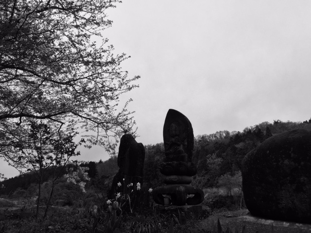 f0149422_23550207.jpg