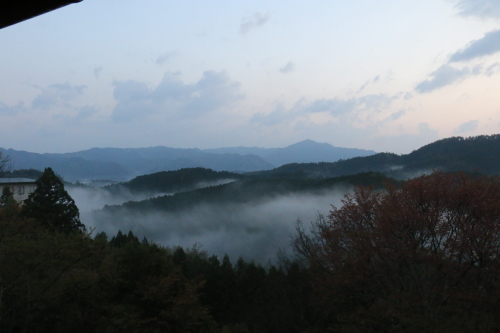 吉野山　桜の進捗状況（4月20日現在）と、吉野の雲海_e0154524_05540532.jpg