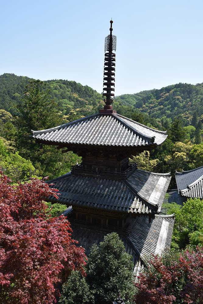 太平記を歩く。 その59 「法華山一乗寺」 兵庫県加西市_e0158128_17125409.jpg
