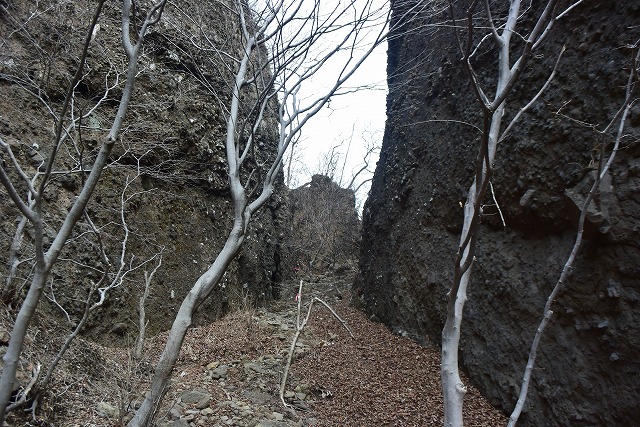 妙義山/ 相馬岳(1104m)・白雲山【天狗岳】(1084m)_b0341133_23444975.jpg