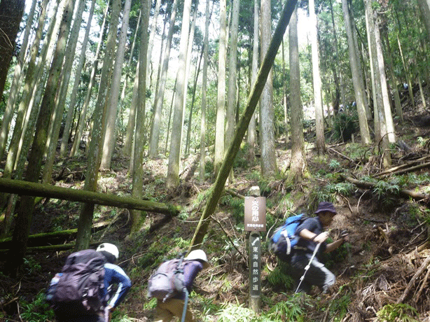 e0371039_12362655.gif