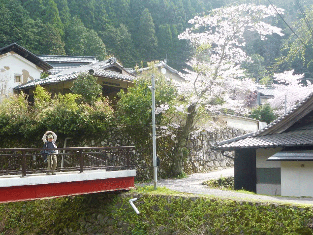 e0371039_1236333.gif