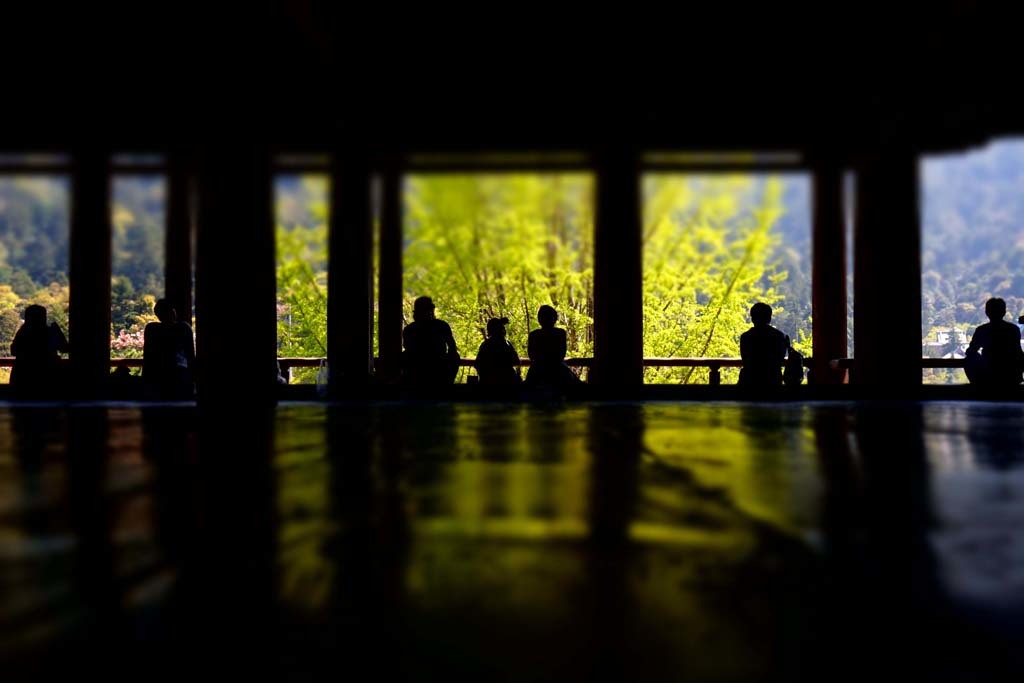 宮島　豊国神社(千畳閣)@2017-04-16_d0250840_23490554.jpg