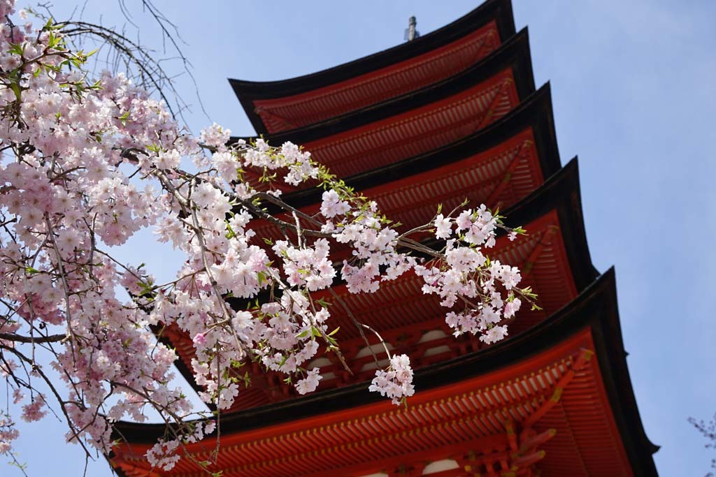 宮島　豊国神社(千畳閣)@2017-04-16_d0250840_23494495.jpg