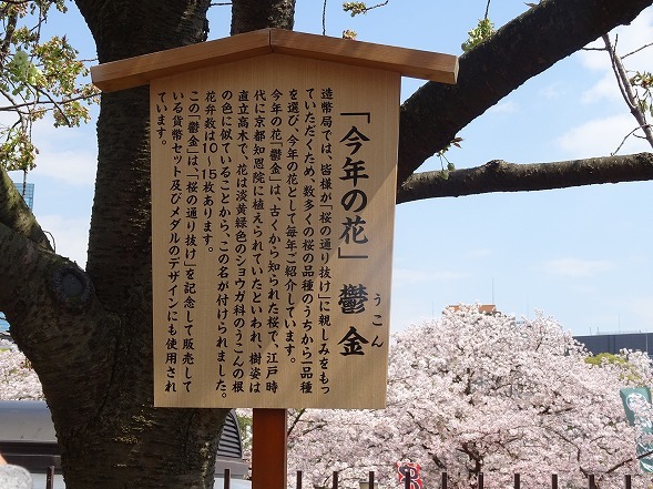 b0299042_10253221.jpg