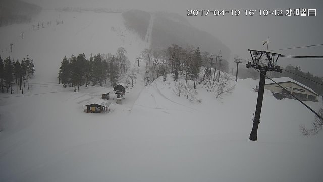 2017年4月19日　白馬岩岳＆栂池高原にて午後から雪_e0037849_06250233.jpg