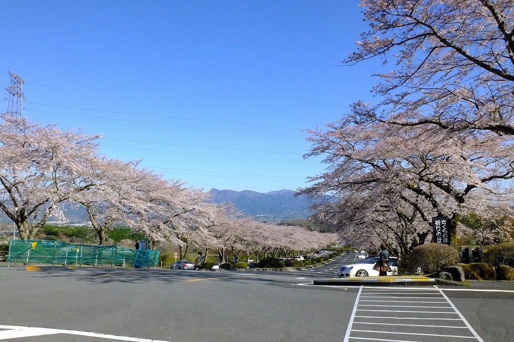 b0236251_13482823.jpg