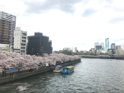 お花見ランチ＠リバースイート大阪♪_a0124556_21174407.jpg