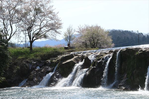 SAKURA　さくら　～石川県～_f0358360_20574363.jpg