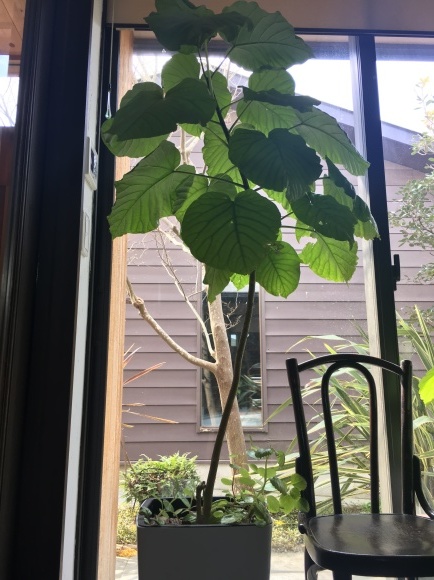 c0120363_15402072.jpeg