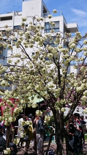 f0256164_12110528.jpg