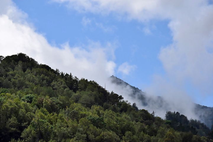 At Corte Madera Creek_b0369375_69244.jpg