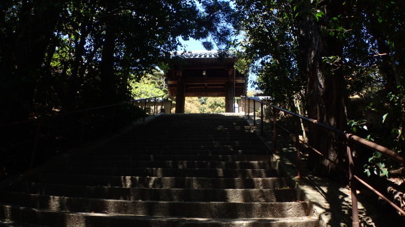 e0024081_16131036.jpg