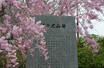 狭山池　枝垂れ桜・染井吉野　4/10_c0229483_0124573.jpg