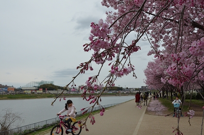 c0229483_0131128.jpg