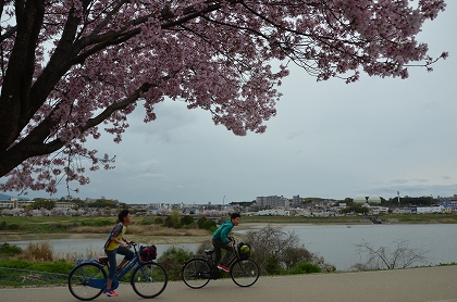 狭山池　枝垂れ桜・染井吉野　4/10_c0229483_014233.jpg