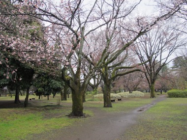 e0351091_2453135.jpg