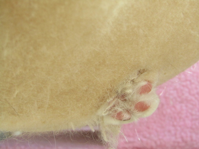 c0369492_23430030.jpg