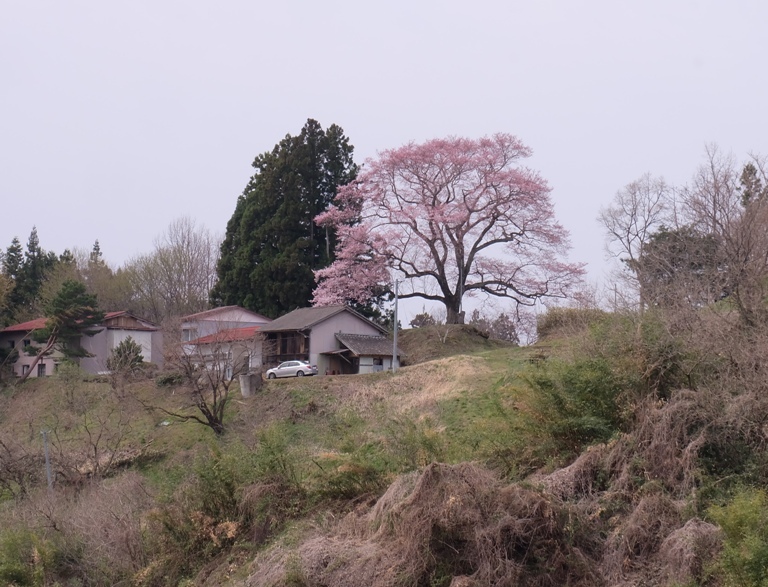 d0153294_20115230.jpg