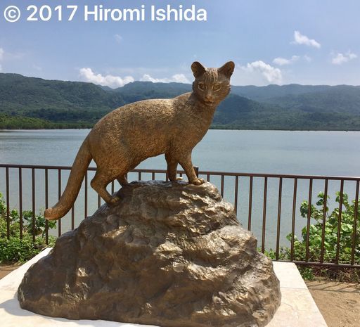 イリオモテヤマネコ像 税金 作 西表島の石やんのあれやこれや